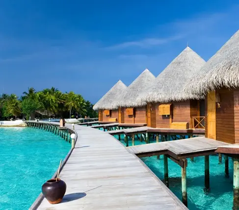 Maldives picture by Acmo Network